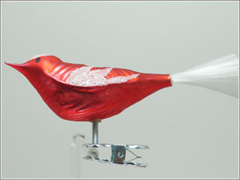 Glasvogel Rot mit Irisglimmer